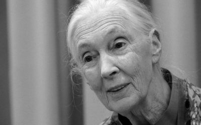 LAS PLANTAS SON IMPORTANTES, INCLUSO PARA NUESTRA VIDA ESPIRITUAL por Jane Goodall