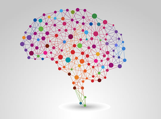 Seis consejos para entender cómo funciona el cerebro